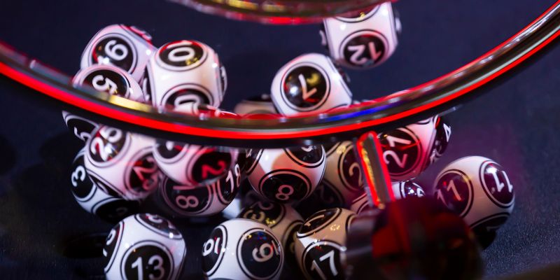 Bạch Thủ Lô - Khái Niệm Và Phương Pháp Đặt Cược Thắng Đậm 7 3 kinh nghiệm chinh phục bất bại