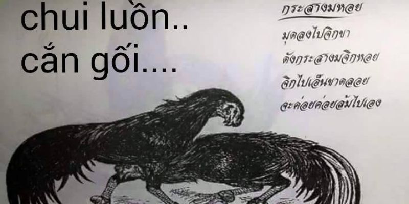 Thế Đá Gà Chọi - Khám Phá Những Lối Chọi Gà Hay Nhất 99OK 8 Thế cắn gối chui luồn được rất nhiều chiến kê áp dụng và thành công