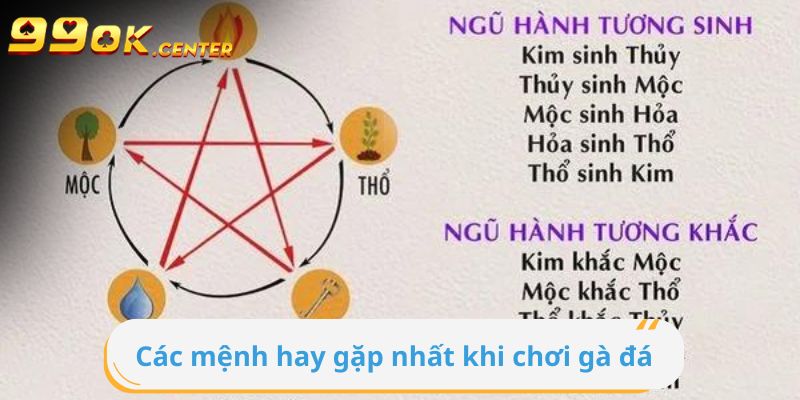 Hướng Dẫn Cách Chọn Màu Mạng Gà Đá Tại 99OK 4 Các mệnh hay gặp nhất khi chơi gà đá nên biết