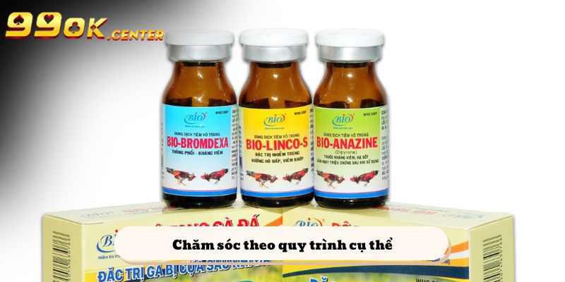 Các Loại Thuốc Nuôi Gà Đá - 99OK Review Cách Sử Dụng 6 Cách chọn gà đá và chăm sóc theo quy trình cụ thể