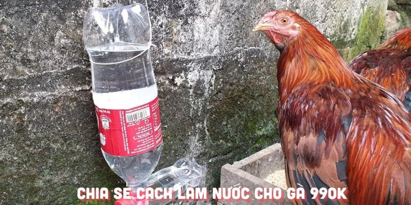 Chia Sẻ Cách Làm Nước Cho Gà Chuẩn Nhất Cùng 99OK 5 Luôn dùng những dụng cụ đã được vệ sinh
