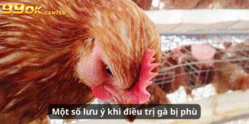 Cách Chữa Gà Bị Phù Hiệu Quả, Nhanh Chóng Tại 99OK 7 Một số lưu ý khi điều trị gà bị phù