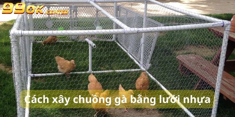 Hướng Dẫn Cách Làm Chuồng Gà Đơn Giản Tại Nhà 99OK 6 Chỗ ở bằng lưới nhựa khá sạch sẽ, dễ vệ sinh và ít tốn kinh phí