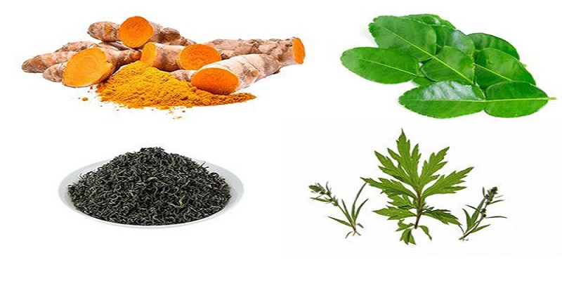 Om Bóp Gà Chọi - Kỹ Thuật Chuẩn Mọi Sư Kê Tại 99OK Cần Biết 6 Nguyên liệu cần chuẩn bị để làm thuốc om bóp gà chọi